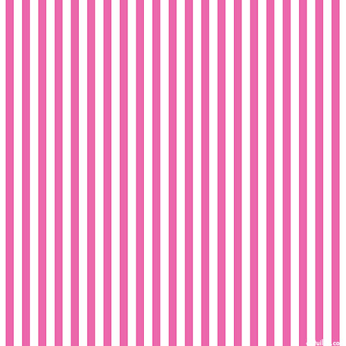 Dots & Stripes - Medium Stripes - Raspberry Pink - DIGITAL