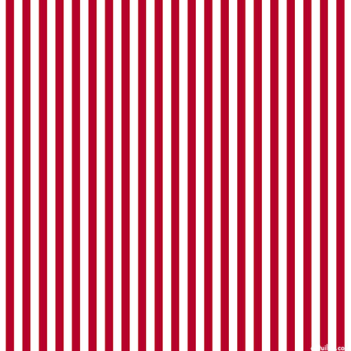 Dots & Stripes - Medium Stripes - Scarlet - DIGITAL