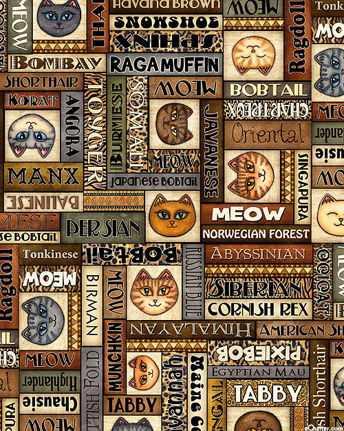 Meow - Kitty Classification - Multi - DIGITAL