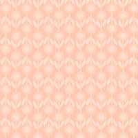 VPHPP4BH