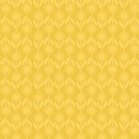 VPHPP4SW