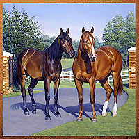 Horse Country - Equestrian Blocks