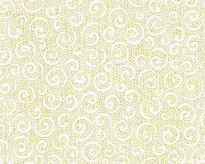 Quilting Illusions - Spiral Dreams - White on Ivory