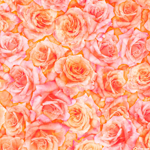 Blossom - Bed of Roses - Shell Pink - DIGITAL PRINT