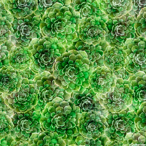 Blossom - Succulent Succulents - Emerald Green - DIGITAL PRINT