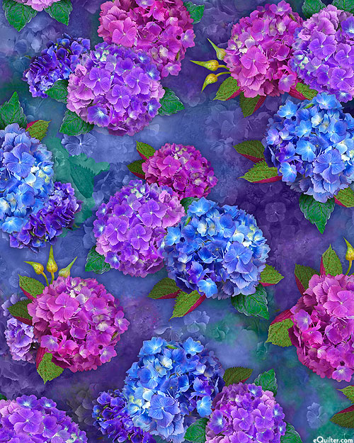 Hydrangea Blooms - Thistle Purple