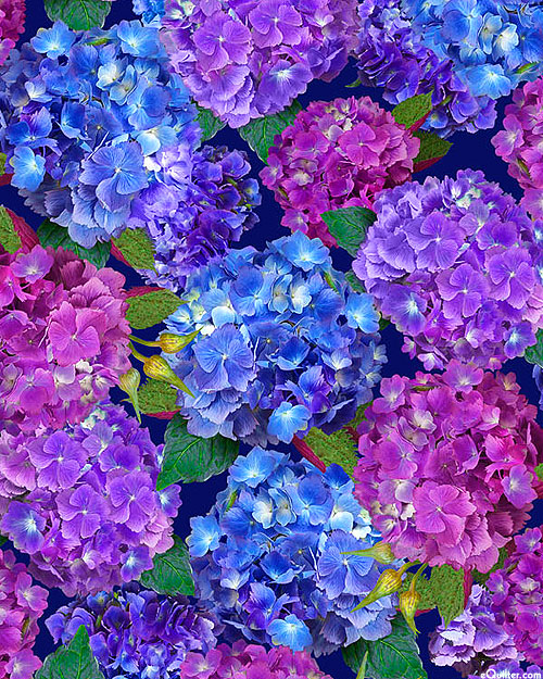 Hydrangea Blooms - Close-Up Hydrangea - Dark Navy Blue