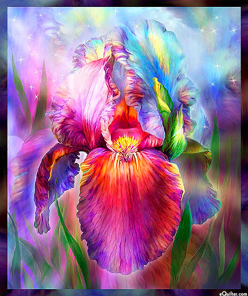 Rainbow Iris - Petal Paradise - Multi - 36" x 44" PANEL