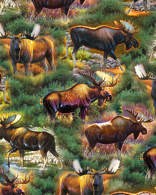 Magnificent Moose - Grazing - Evergreen - DIGITAL