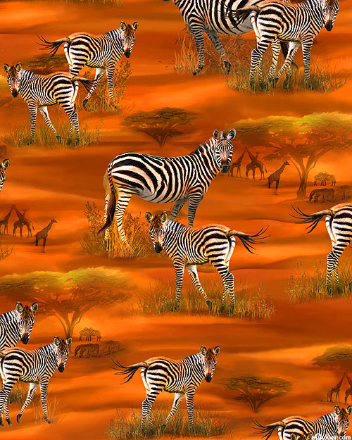 Zebra Sunset - Savanna Wandering - Rust Orange