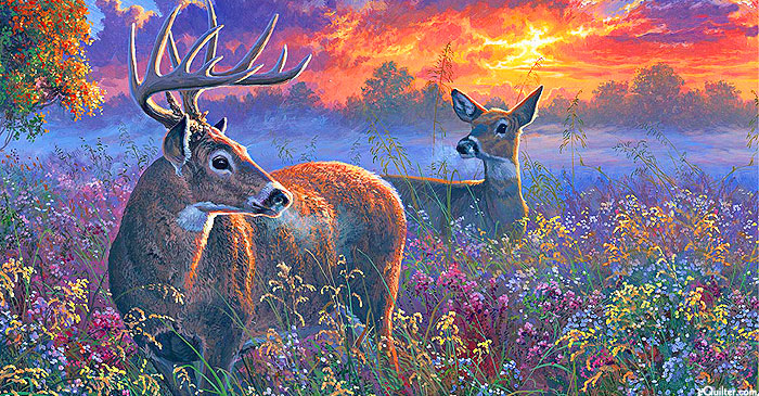 New Beginnings - Deer Sunrise - Multi - 24" x 44" PANEL