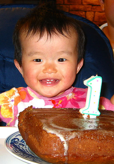 Sophie's First Birthday