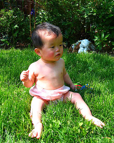 Sophie in the Grass